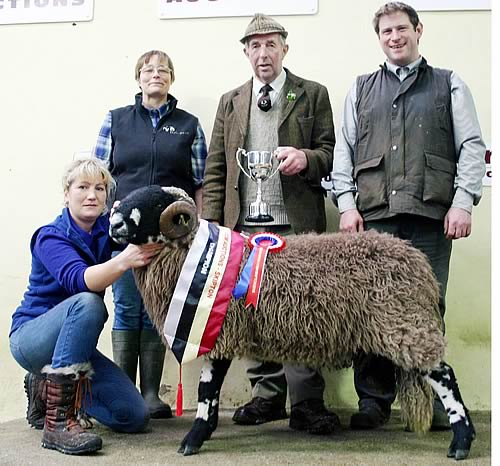 Alison Haygarth with the family’s 2013 Skipton Dalesbred shearling ram champion, joined by, from left, co-judge Karen Harrison, trophy sponsor and presenter Royston Baxter, and co-judge David Charnley.