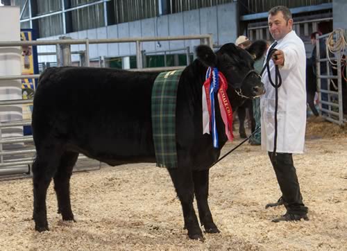 Andrew and Judith Denning’s Temple Neonia N555 took the female and reserve overall championship.
