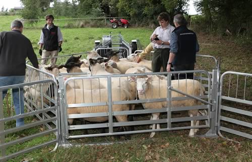 Fraser Kerby trying out his new Rappa Mobile Handling System