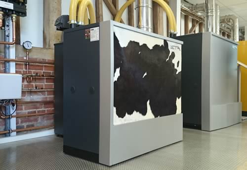 Cow Hide Biomass Boiler
