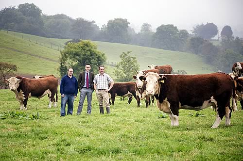 Paul Beatty, NI Hereford Association, Brendan McVeigh, MSD Animal Health, and Colm Kelly, who manages the Lurgacullion and Mullin Hereford Herds