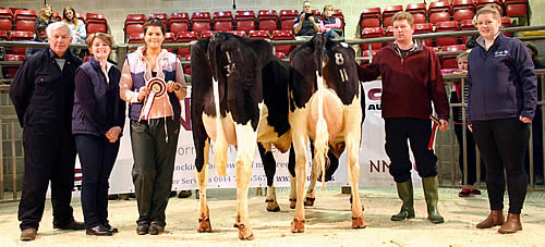 Pictured in the Skipton ring with the opening April Craven Dairy Auction champion and reserve are, from left, judge Colin Whitelock, NMR’s Angie Lockwood, champion Suzy Lawson, reserve champion Peter Baul and Shepherd Agri’s Megan Thomas.