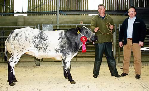 Jeff Walker with his latest Skipton store cattle champion, joined by Jonathan York, of sponsors Armstrong Watson.