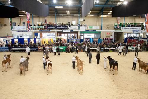 Dairy Show
