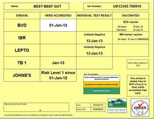 Standardised Pen Card