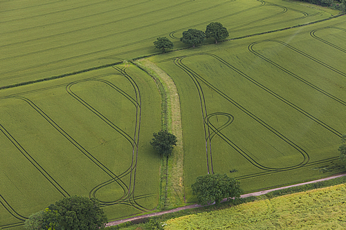 Crops