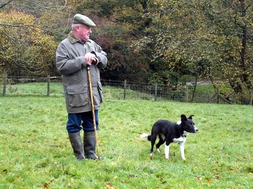 James Dewhurst, who has launched Winterburn Working Sheepdogs