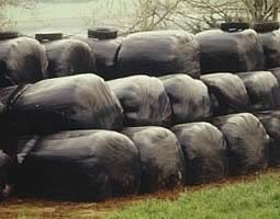big bales wrapped