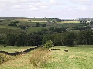 upland farmland