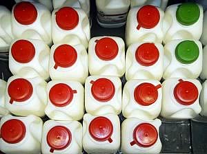 milk cartons