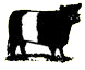 Belted Galloway Cattle Society