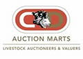 longtown auction mart