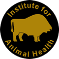 Institute for Animal Health