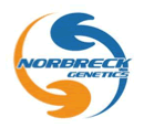 Norbreck Genetics