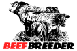signet beef breeder