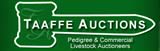 Taaffe Auctions