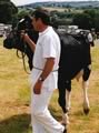 cattle show