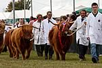 Royal County of Berkshire Show 