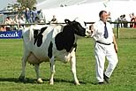 Oxfordshire County & Thame Show