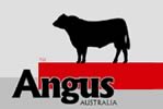 certified australian angus beef