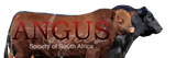 south african angus