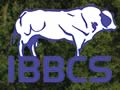 Irish Belgian Blue Cattle Society