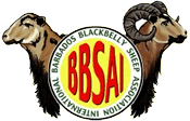 Blackbelly Barbados Sheep Association International