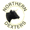 North of England Dexters