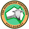 australian poll dorset