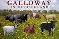german galloway