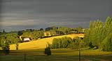 Clovercreek Farms