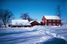 Fairlea Farm