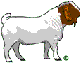 Faith Valley Farm