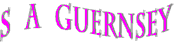 sa logo