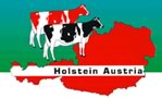 Holstein Austria