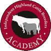 Independent Highland Cattle Breeders Academy 