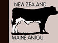 nz maine anjou
