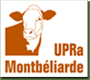 upra montbeliarde