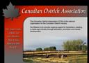 Canadian Ostrich Association