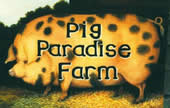 Pig Paradise 