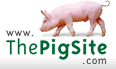 the pig site
