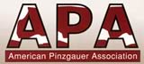 American Pinzgauer Association