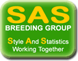 South Devon Cattle Breeding Group