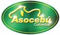 asocebu
