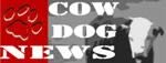 cow dog news