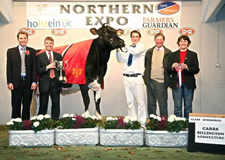 Holmland Storm Flo PI EX94 (3)