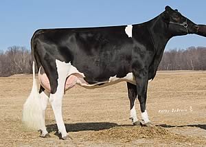 Majestic-Manor Beacon daughter