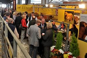 Beef Expo 2010