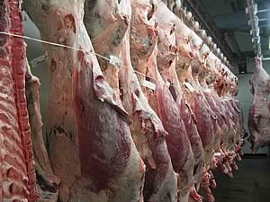 beef carcases