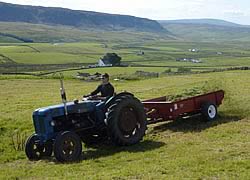 Spreading hay meadow seed in green hay in Upper Teesdale